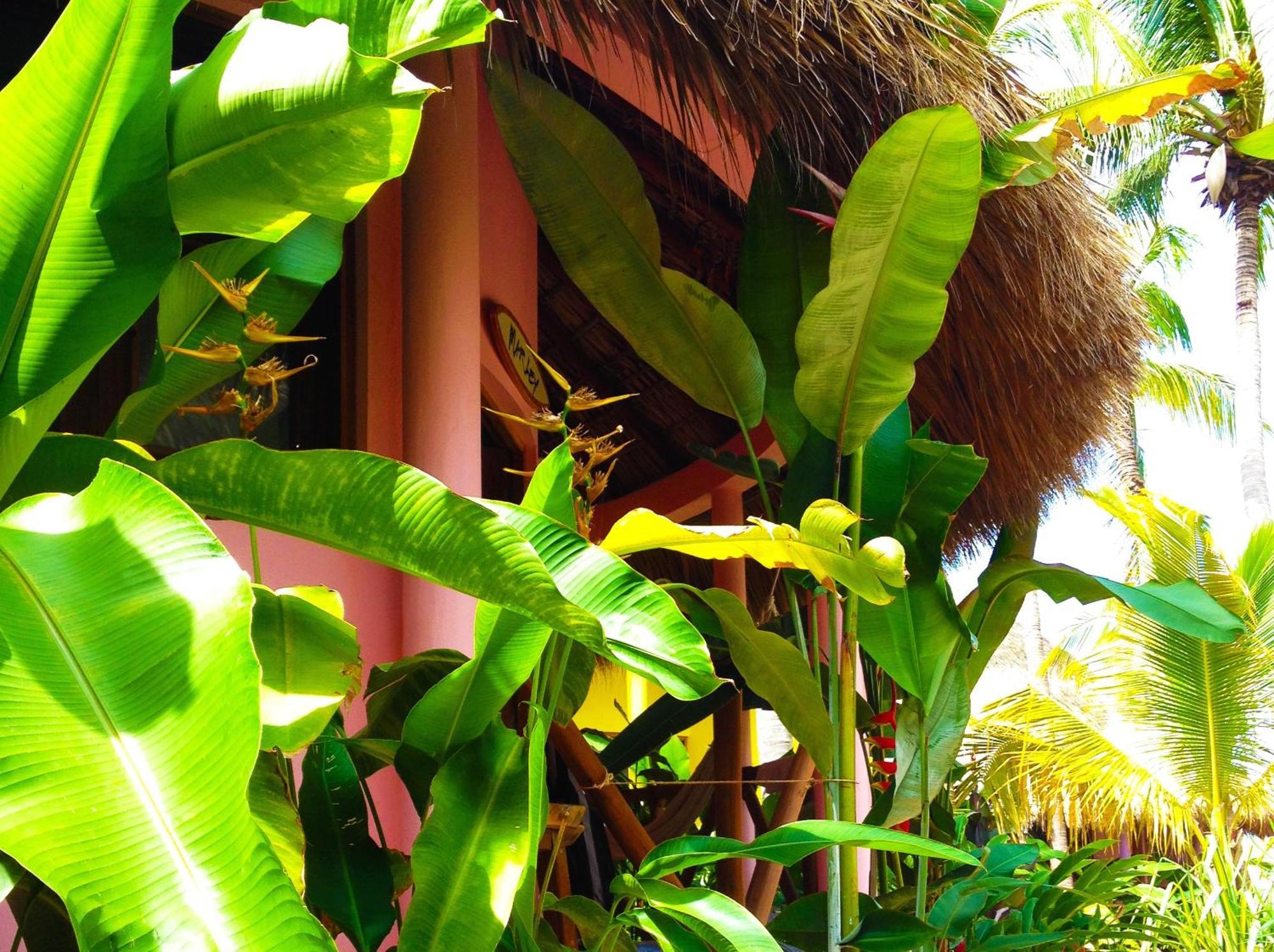 One Love Hostal Puerto Escondido Puerto Escondido  Exterior photo